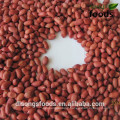 Raw four red skin peanuts for sale